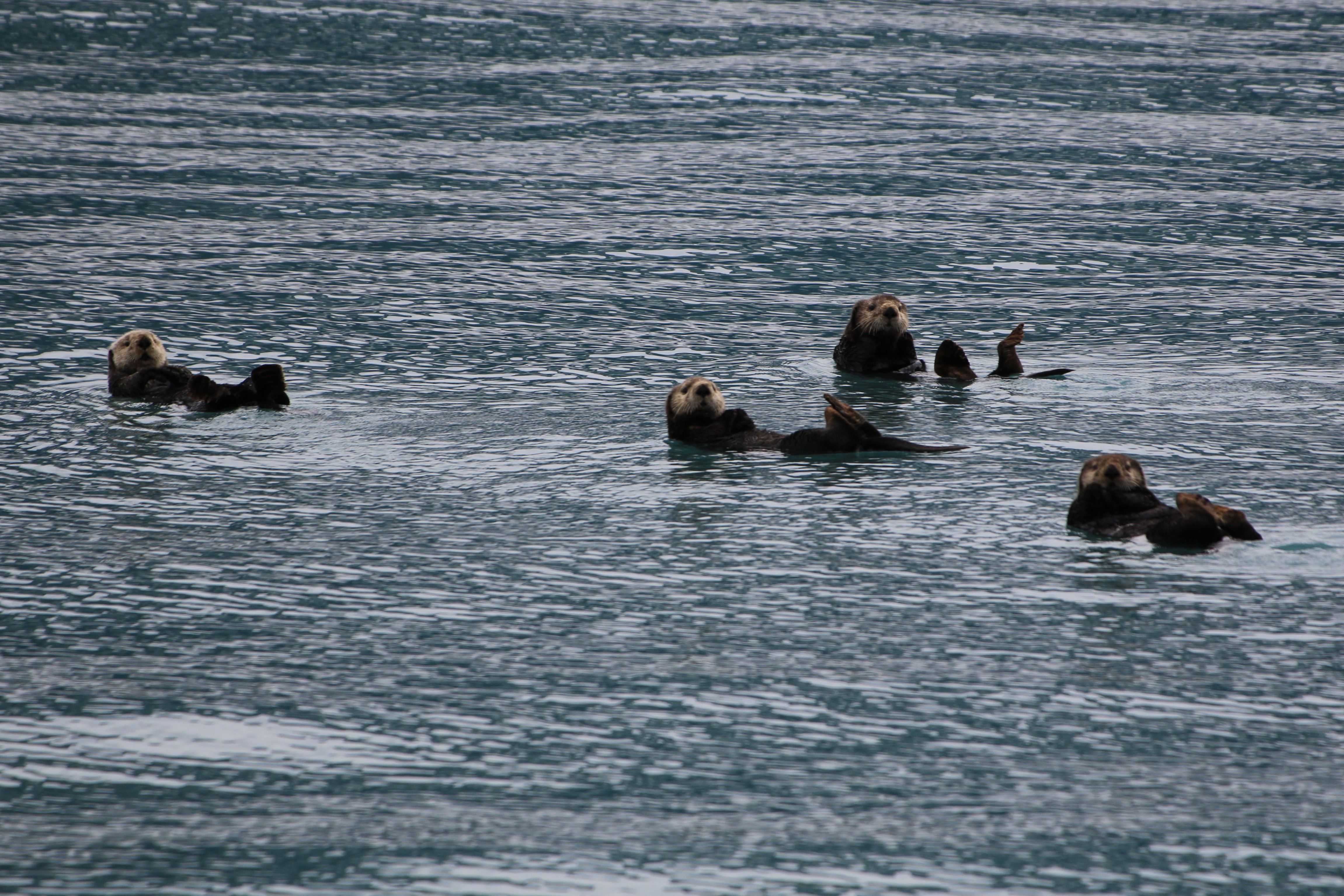 Alaska